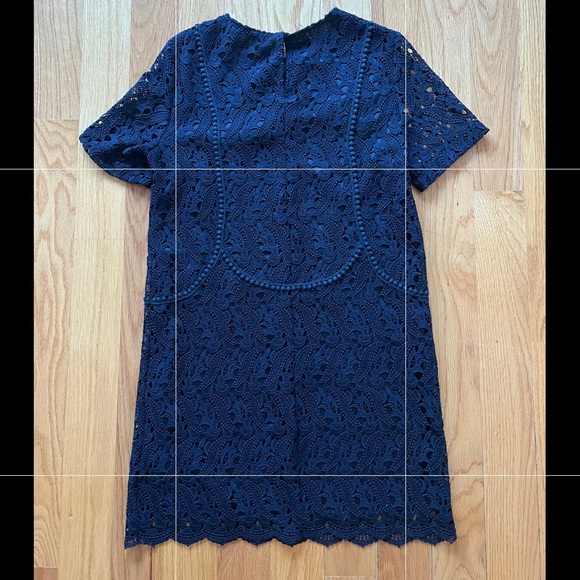 Zara Navy Lace Short Sleeve Dress - Picture 3 of 4